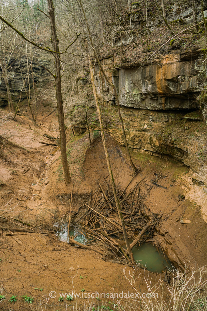 Cedar Sink Hole at Mammoth Cave National Park