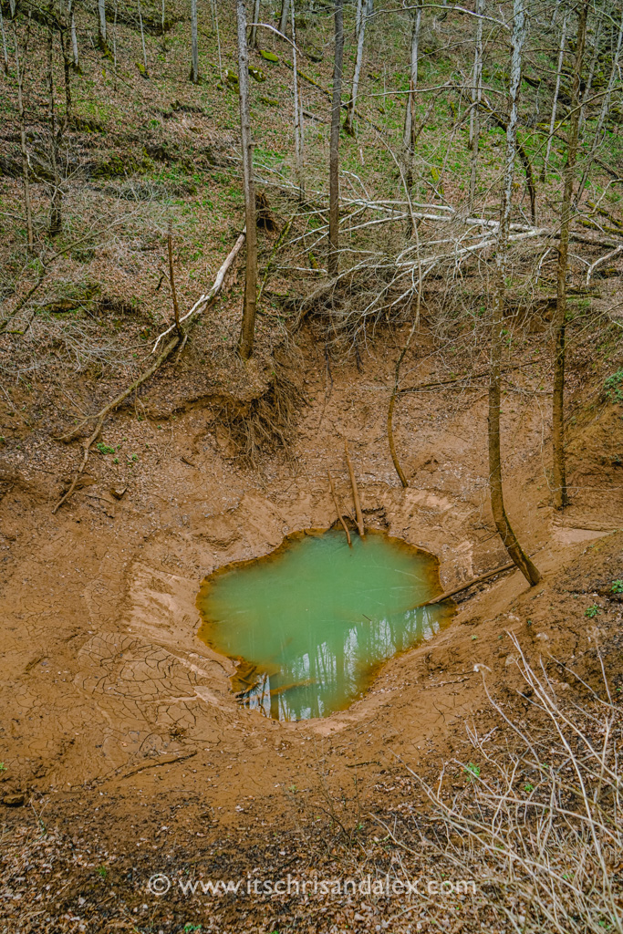 Cedar Sink Hole at Mammoth Cave National Park